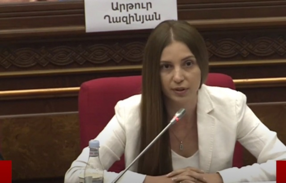 Анна Григорян: «Безопасна ли дорога Капан-Горис для наших граждан?» (видео)